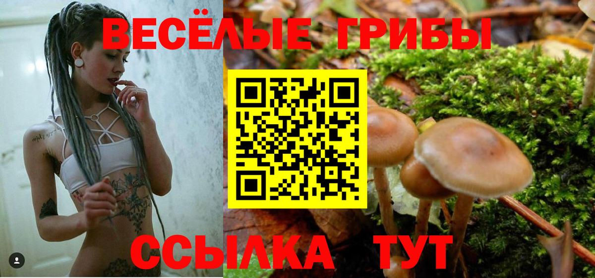 Заводоуковск  Галлюциногенные грибы мухоморы  Вход с VPN 